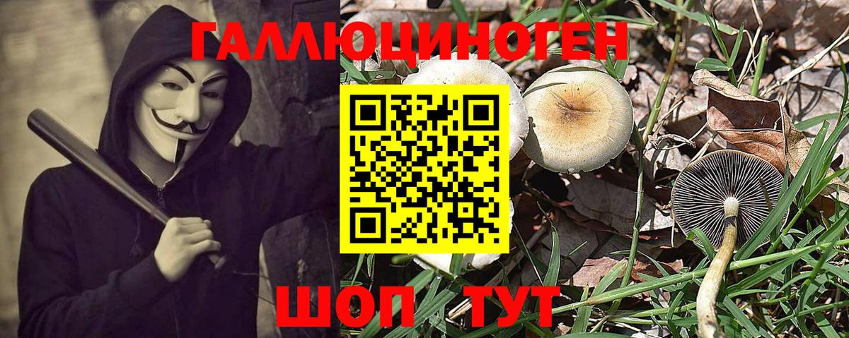 купить наркоту  Вход с VPN  Саратов  Псилоцибиновые грибы Psilocybe 