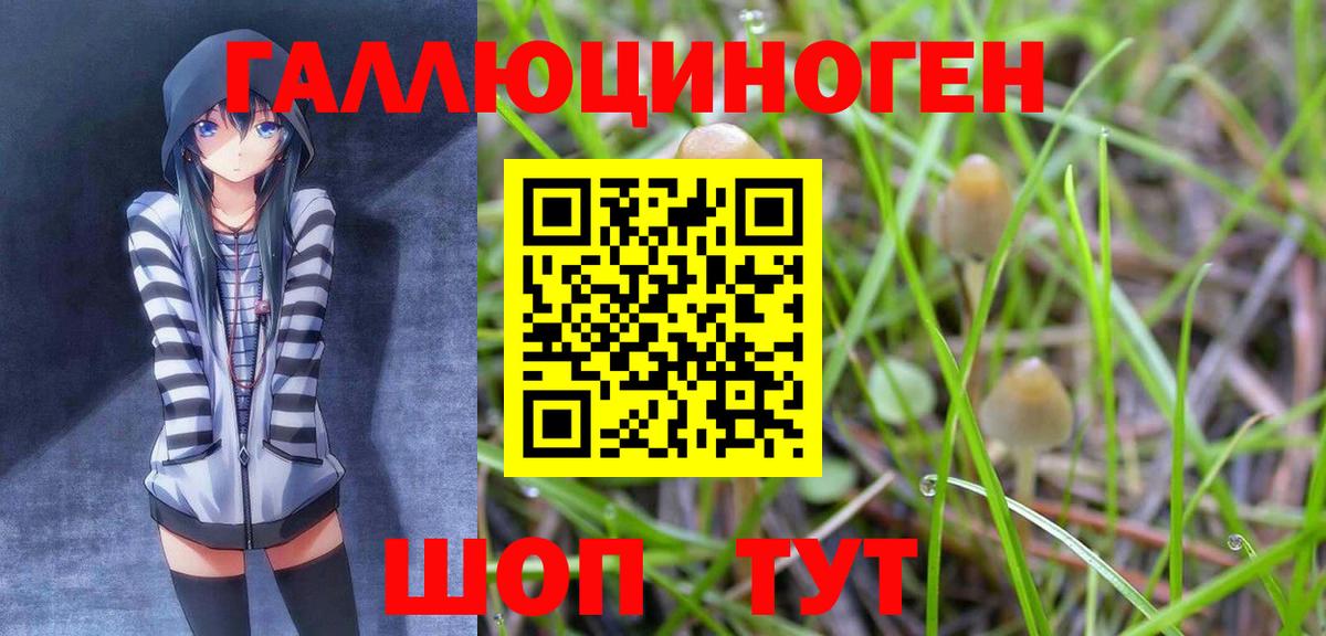 Псилоцибиновые грибы мицелий Саратов